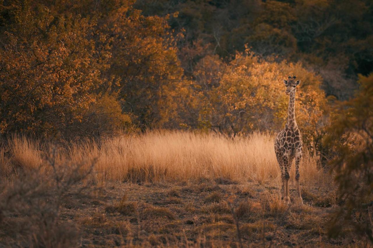 Villa Leshiba Wilderness Louis Trichardt Exterior foto