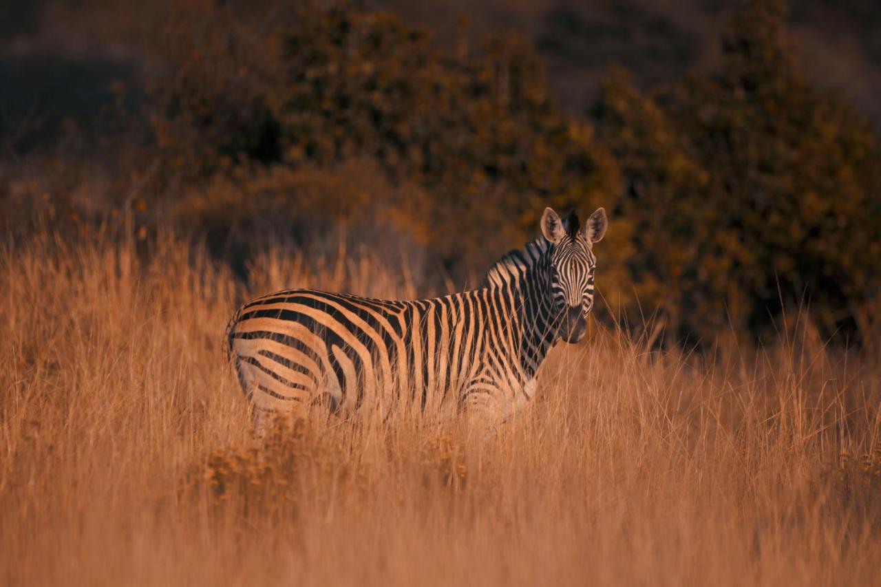 Villa Leshiba Wilderness Louis Trichardt Exterior foto